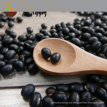 negro de frijol negro de alta calidad negro grano de frijol negro matte bean price